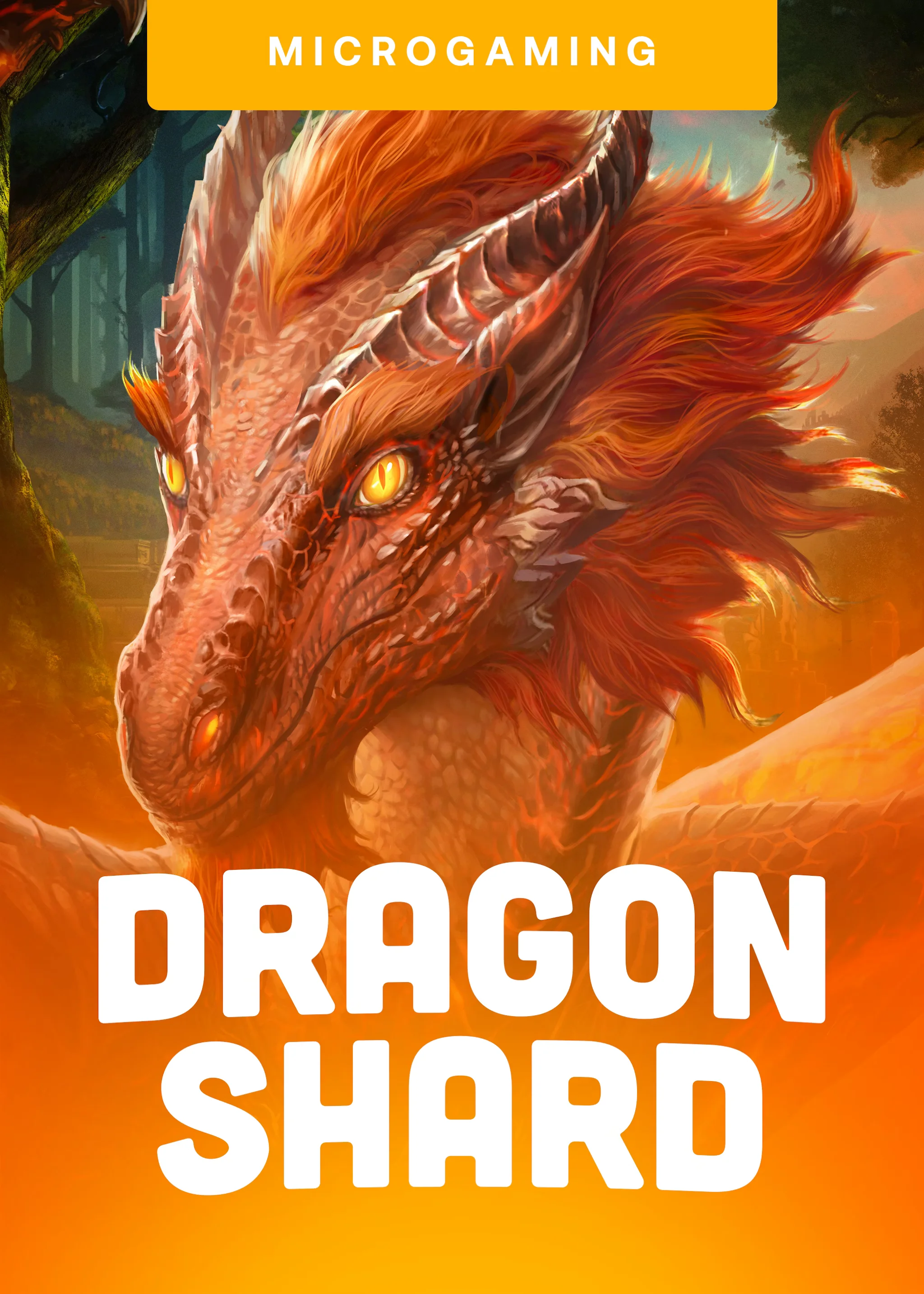 Dragon Shard